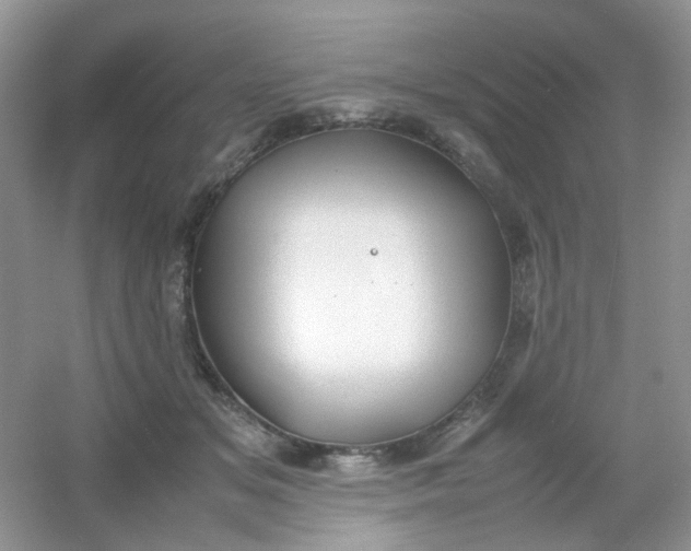 X0000054330509200508111922.png