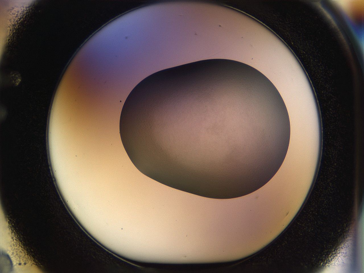 056q_F2_ImagerDefaults_2.jpg
