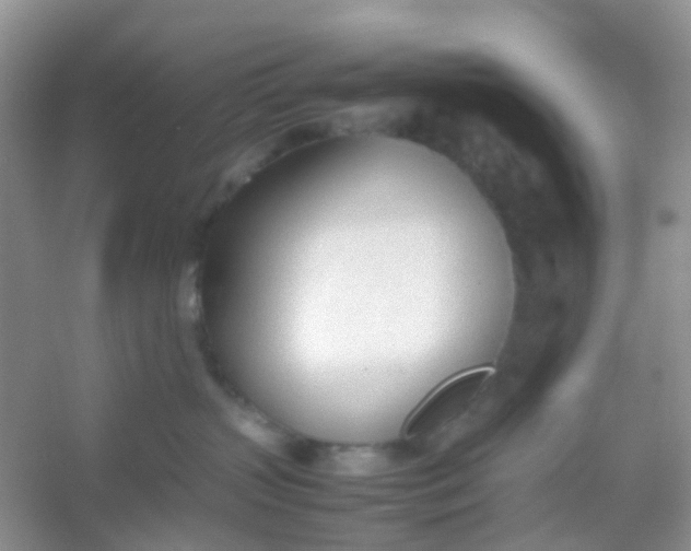 X0000054330383200508111925.png