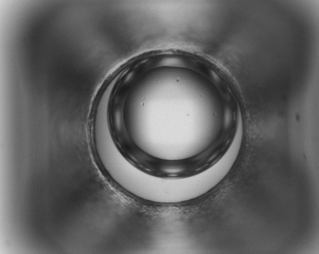 X0000043110943200412211817.png