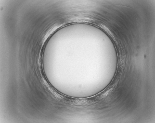 X0000054230893200508171507.png