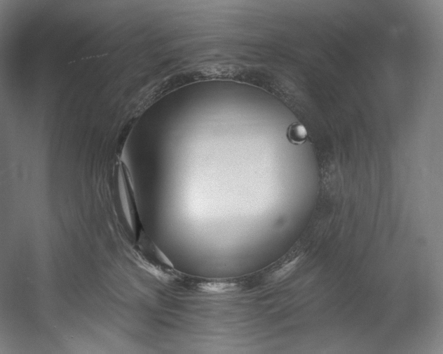 X0000055210233200508301330.png