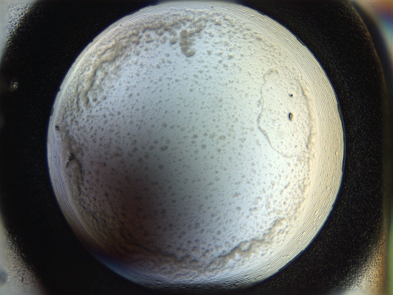 056q_F5_ImagerDefaults_3.jpg