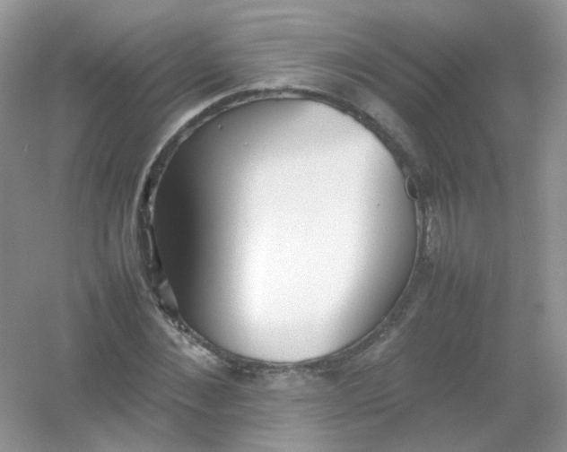 X0000054330876200508111916.png