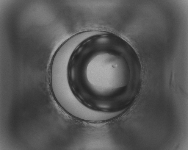 X0000040041152200410070839.png