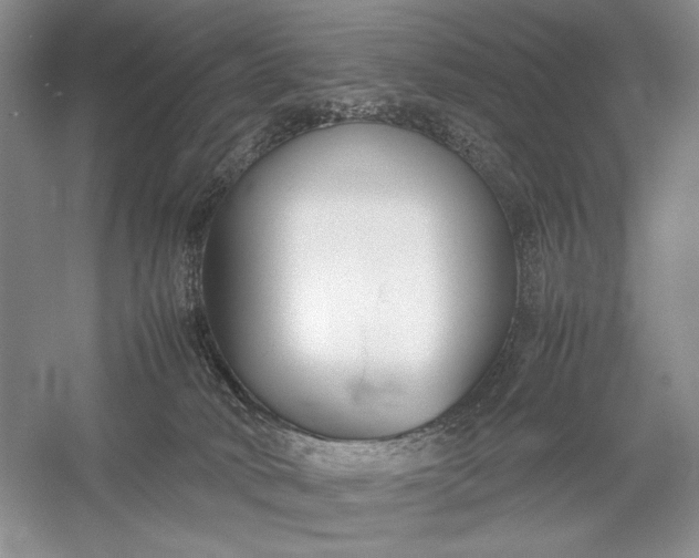 X0000055060034200508161657.png