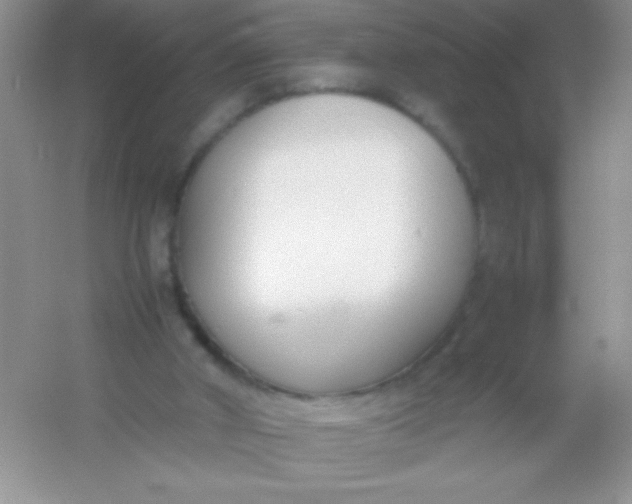 X0000054330010200508111931.png