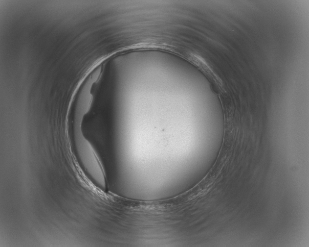 X0000055210900200508301318.png