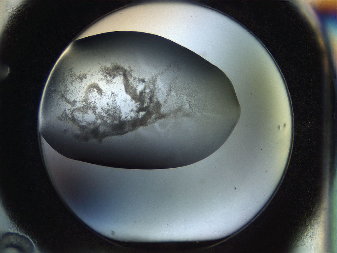 056q_F10_ImagerDefaults_3.jpg
