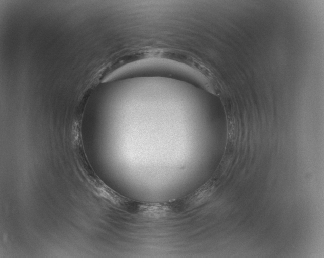 X0000055210621200508301323.png