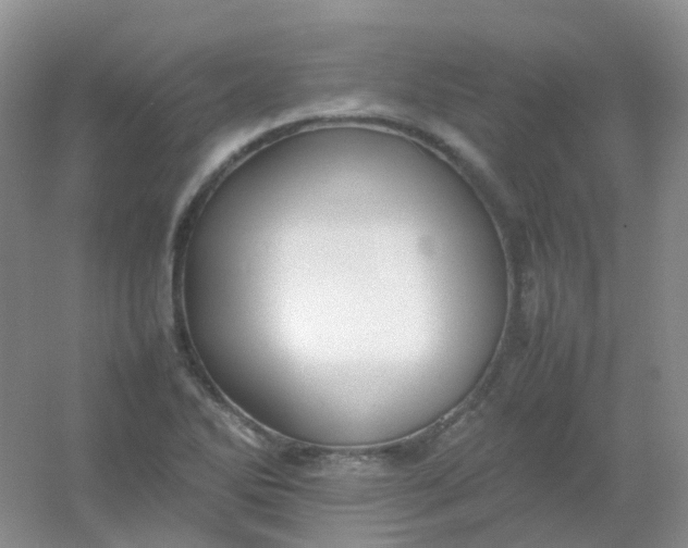 X0000054331270200508111909.png