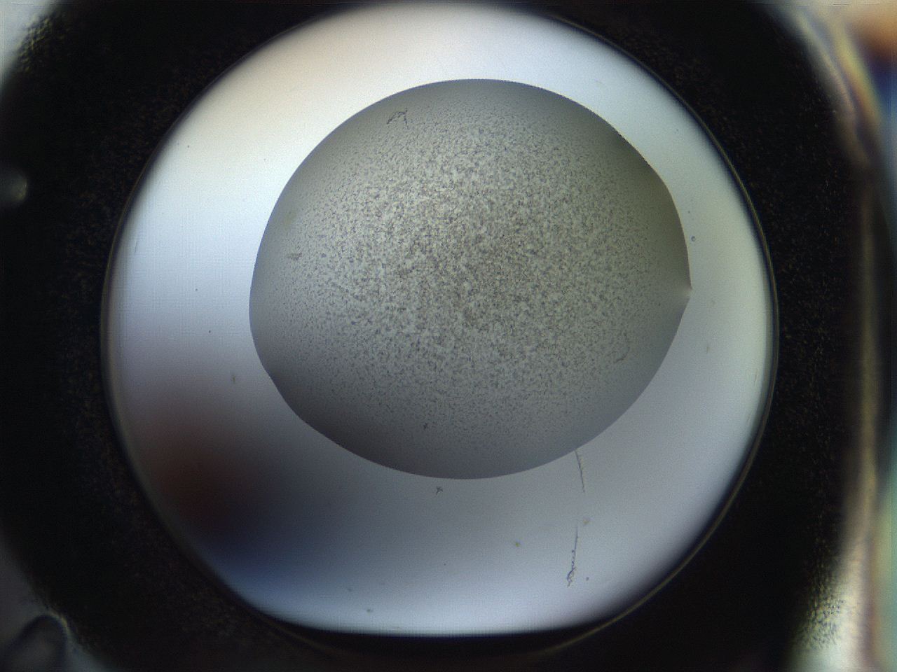 056q_F11_ImagerDefaults_3.jpg