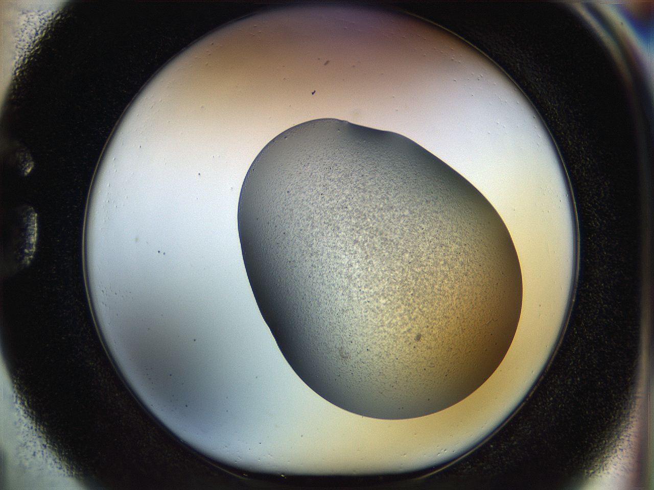 056q_G1_ImagerDefaults_2.jpg
