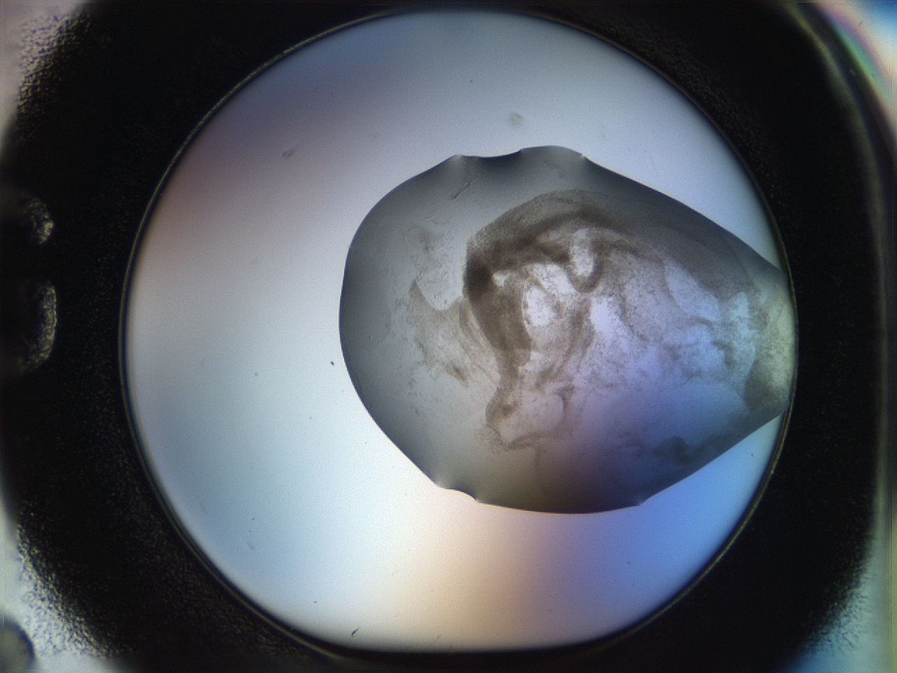 056q_G2_ImagerDefaults_3.jpg