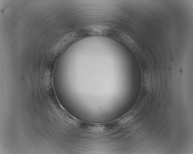 X0000054650318200508091648.png