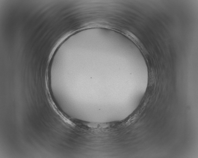 X0000055250812200509071614.png