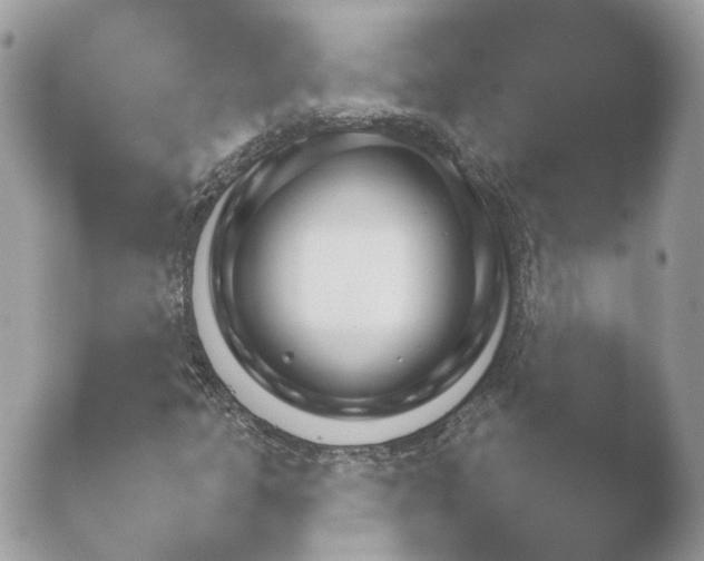 X0000052121301200507262041.png