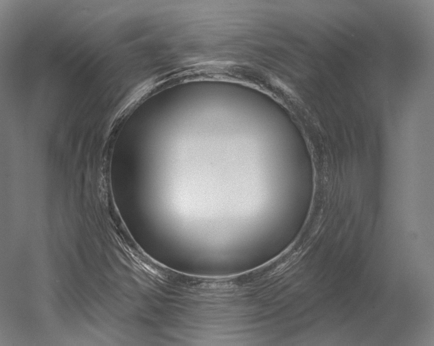 X0000055211354200508301311.png