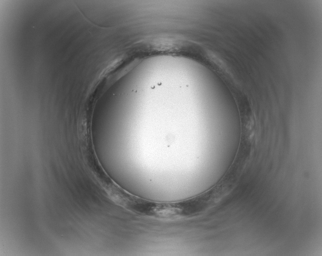 X0000054330407200508111924.png