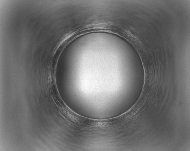 X0000055061166200508161638.png