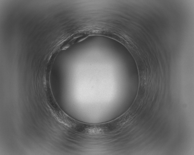 X0000055210500200508301325.png