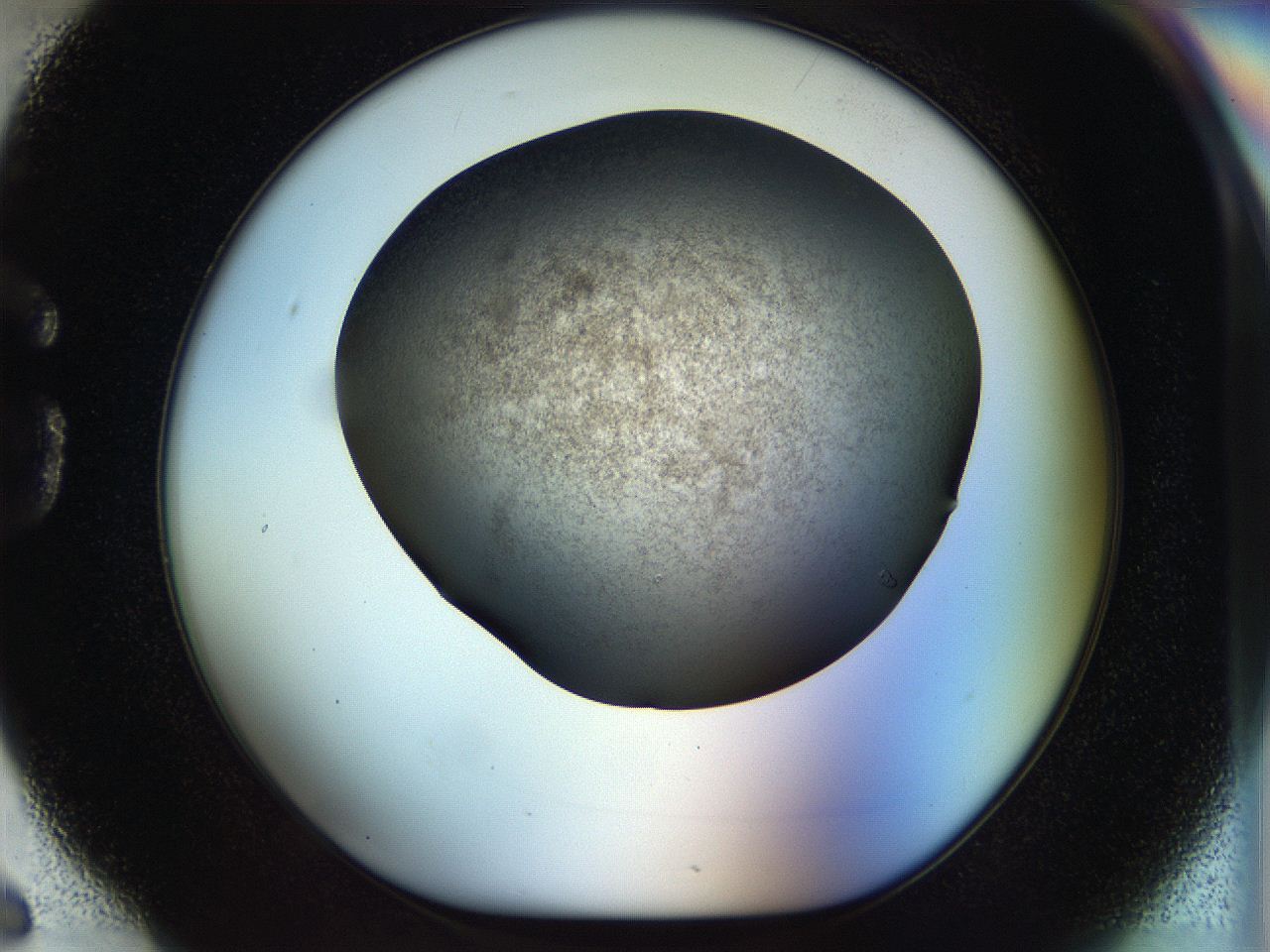 056q_G6_ImagerDefaults_3.jpg