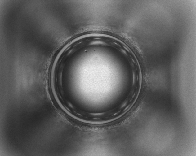 X0000045451033200502011651.png