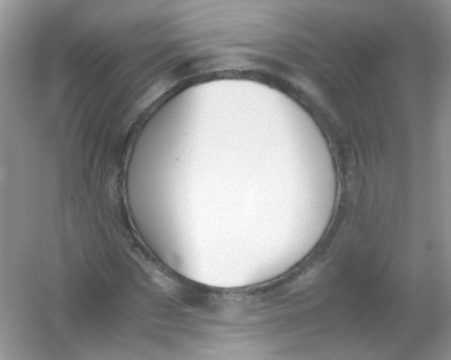 X0000054330873200508111916.png
