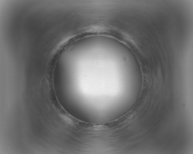 X0000054331304200508111908.png