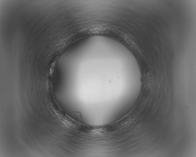 X0000055210505200508301325.png