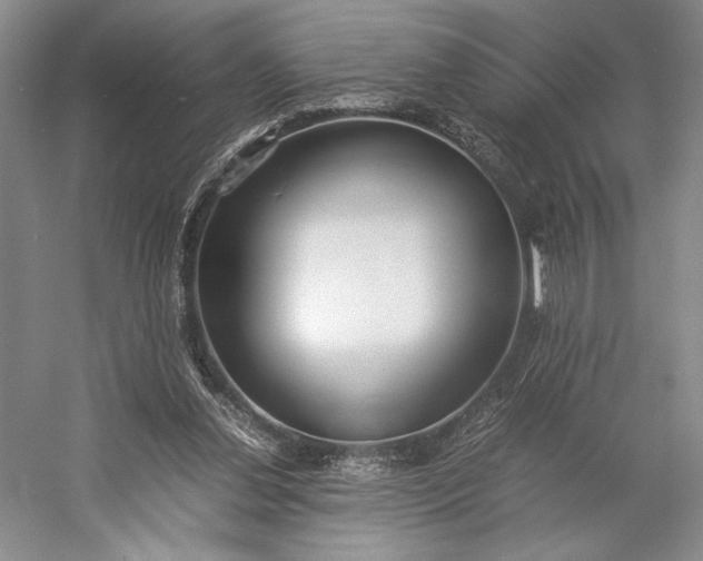 X0000055060252200508161653.png
