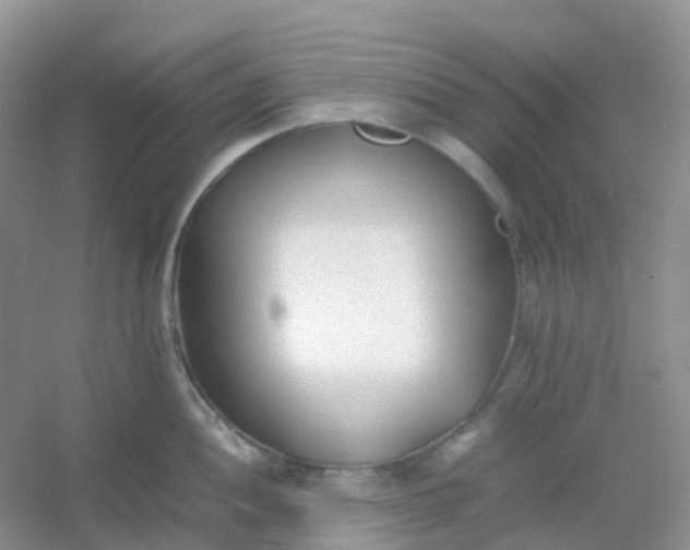 X0000054331052200508111914.png