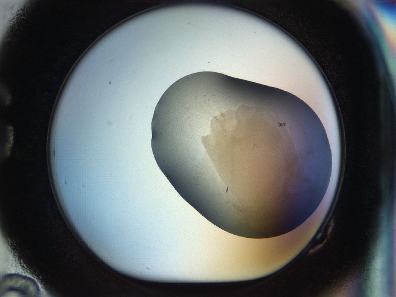 056q_G10_ImagerDefaults_3.jpg