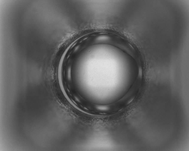X0000040730731200410201650.png