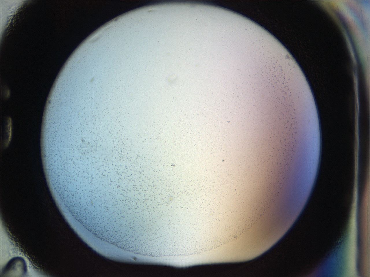 056q_G11_ImagerDefaults_2.jpg