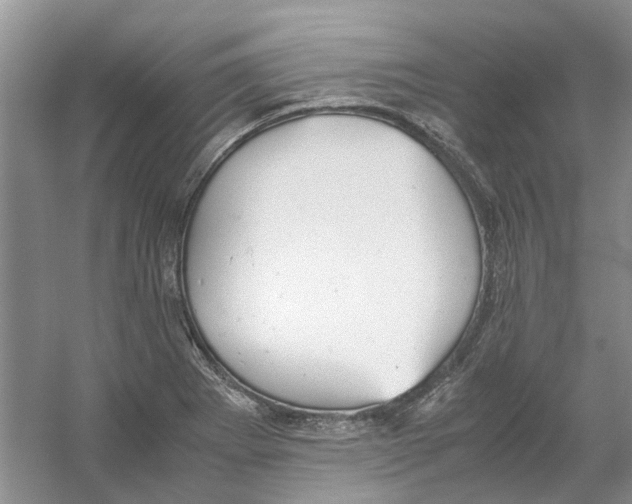 X0000054271273200508261906.png
