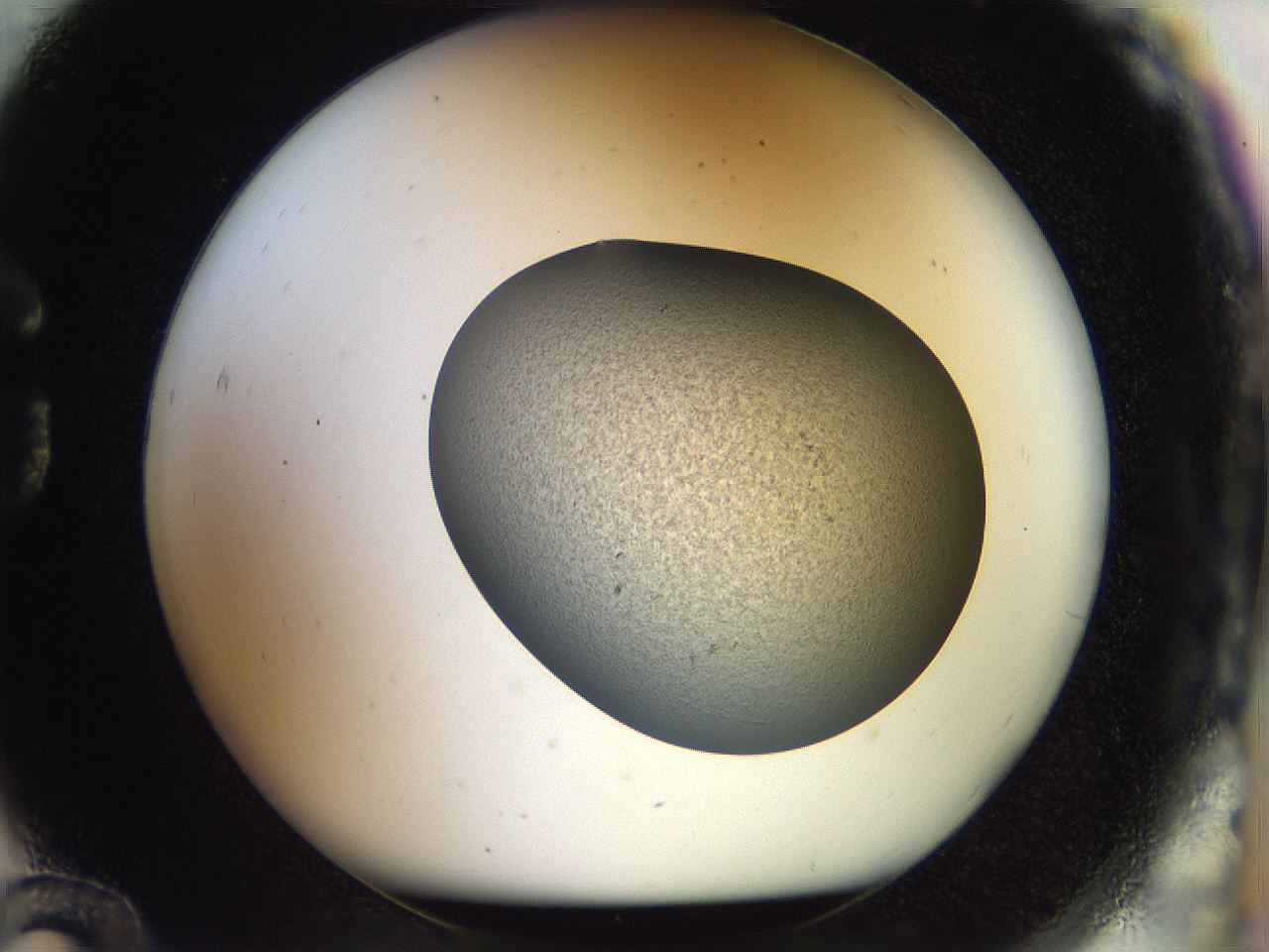 056q_G12_ImagerDefaults_3.jpg