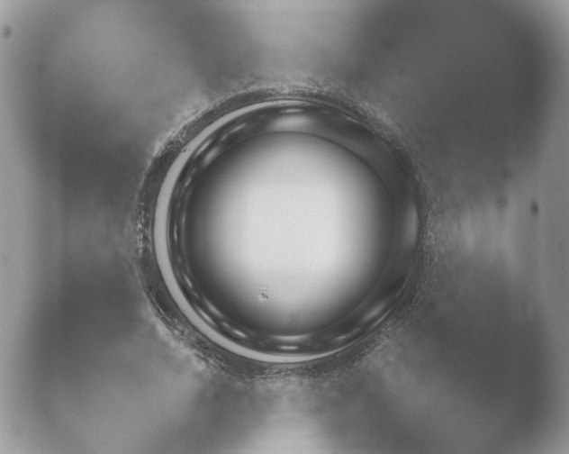 X0000052120730200507262051.png