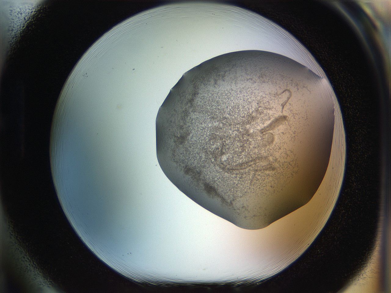 056q_H1_ImagerDefaults_3.jpg