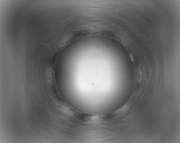 X0000054330184200508111929.png