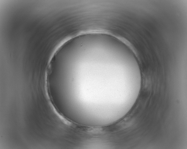 X0000054331006200508111914.png