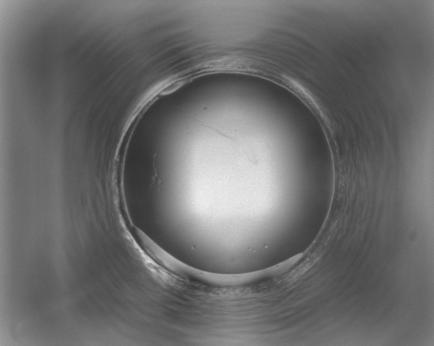X0000055061434200508161634.png