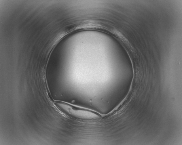 X0000055211329200508301311.png