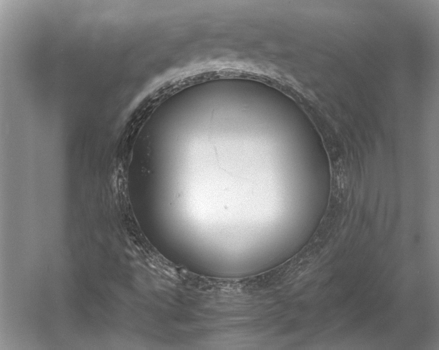 X0000055061495200508161632.png