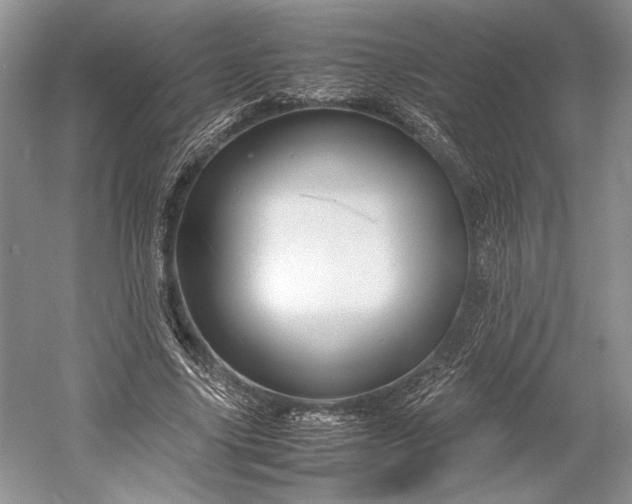 X0000055060635200508161646.png