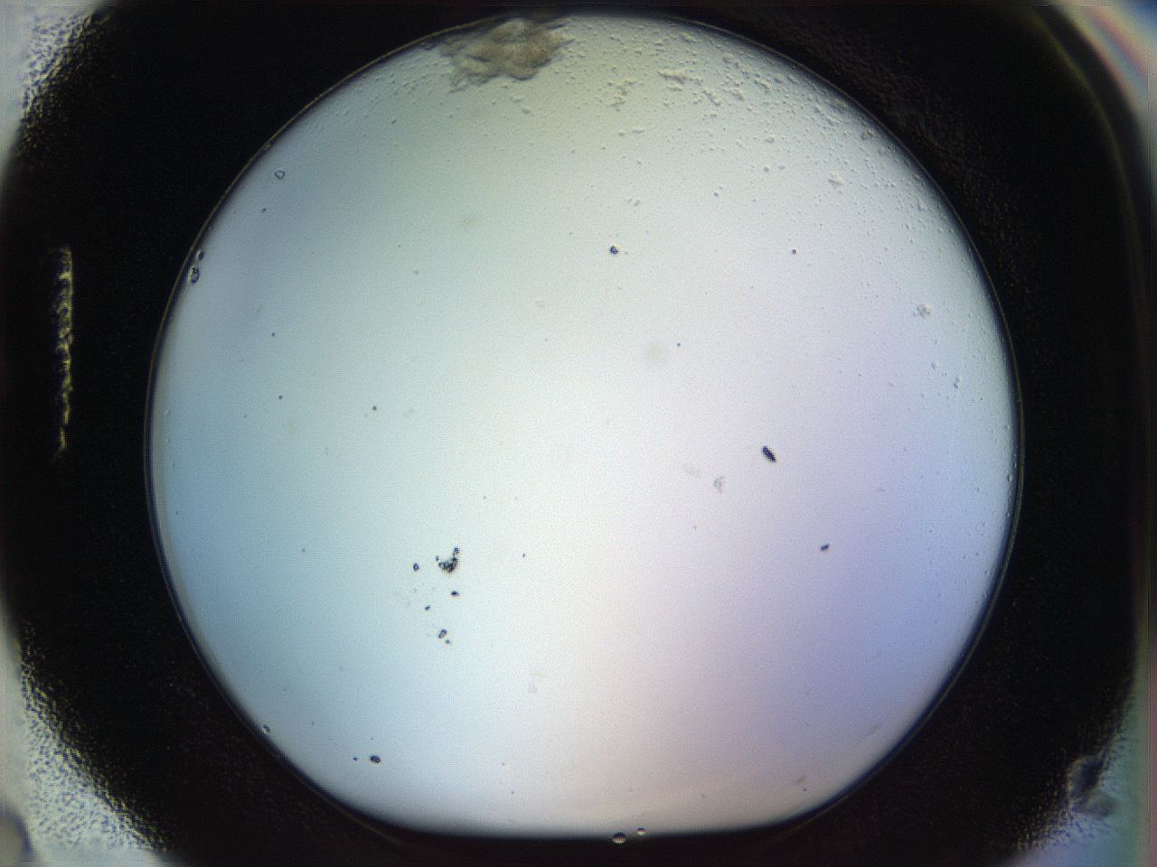 056q_H4_ImagerDefaults_1.jpg