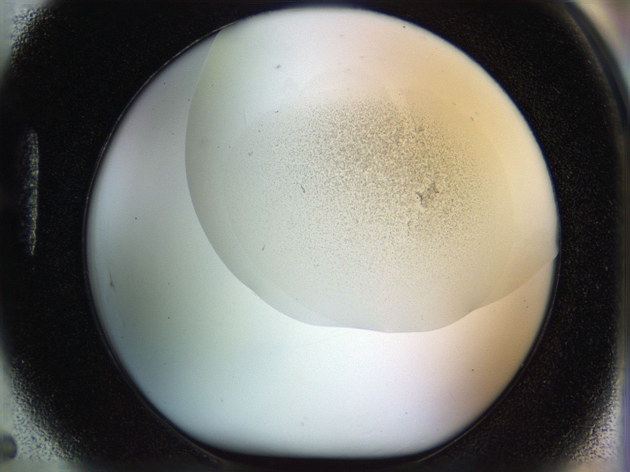 056q_H5_ImagerDefaults_2.jpg