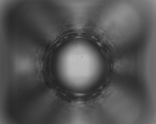 X0000047470476200503091603.png