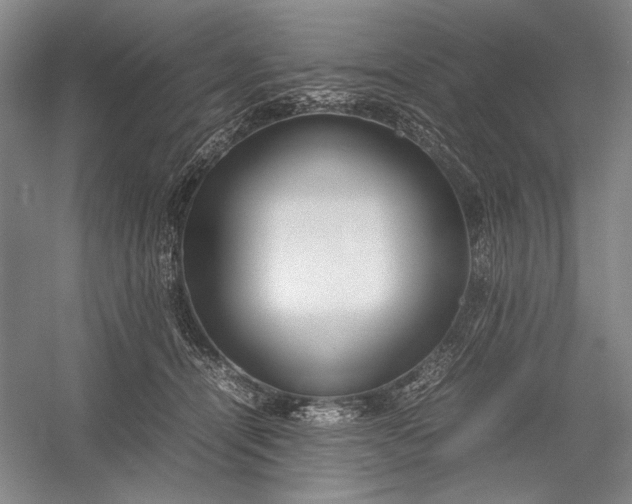 X0000055060464200508161650.png