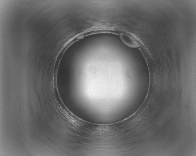 X0000055061220200508161637.png